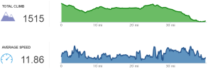 day06stats